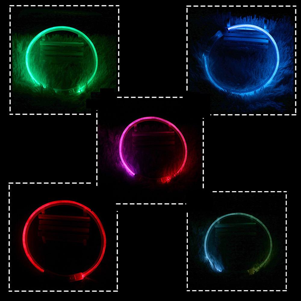 Dog Hugs Cat glow-in-the-dark pet collar with USB rechargeable feature, shown illuminated in a dark setting.