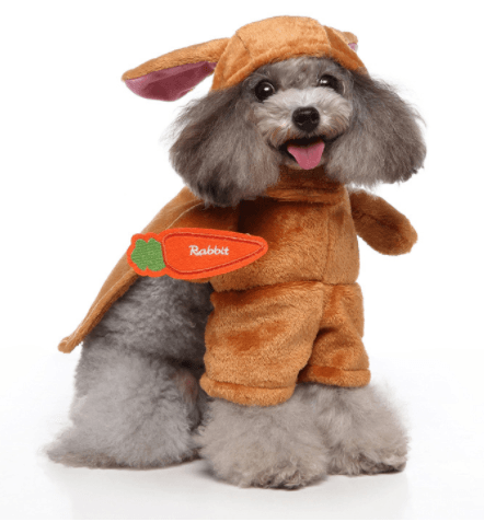 Funny cartoon dog Halloween and Christmas pet costume by Dog Hugs Cat, adorable cosplay outfit for dogs with festive design.