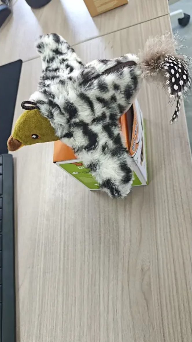 Soft plush bird pet toy with colorful feathers and squeaker, perfect for cats and small dogs.